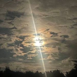 Meet your Posher, Donald